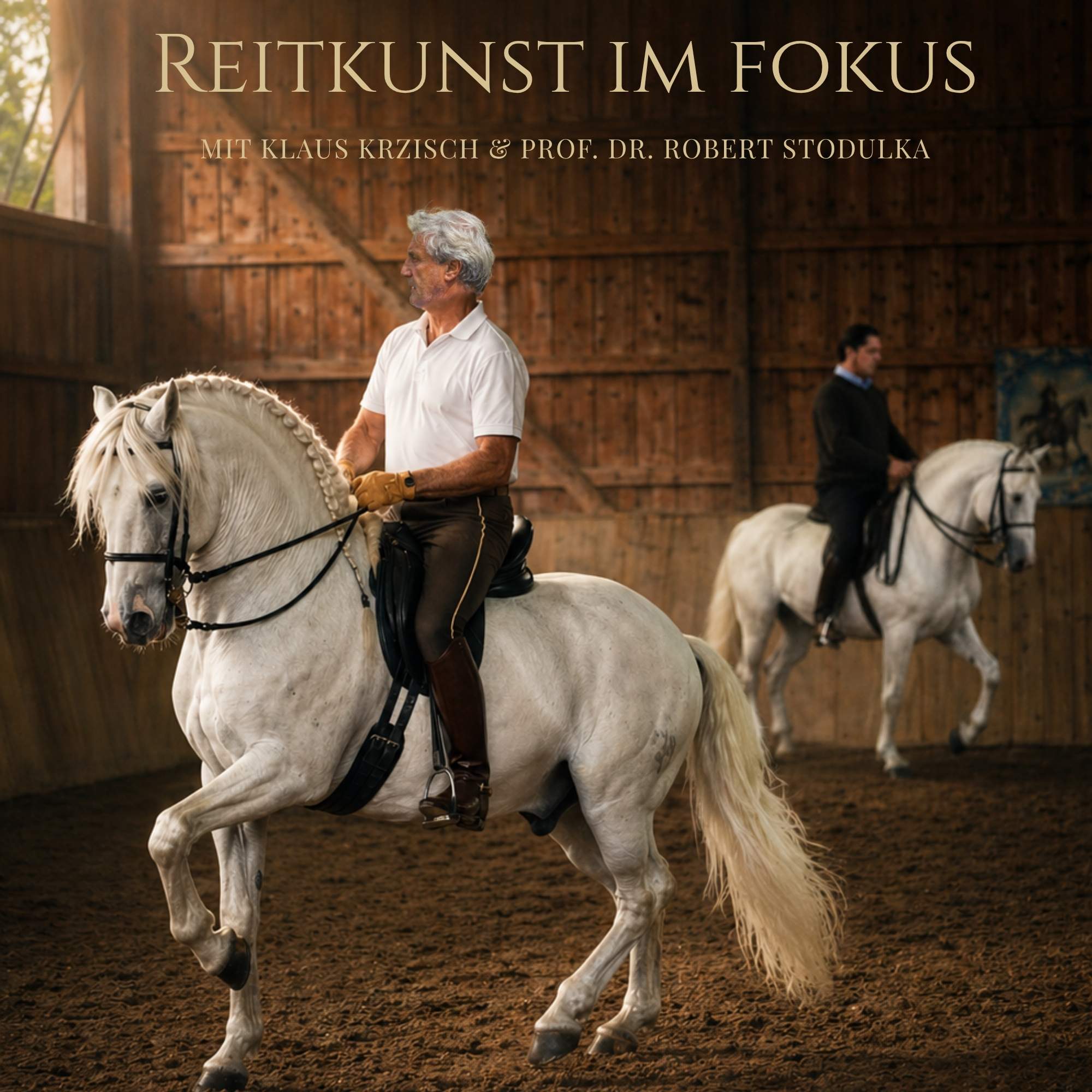 Du betrachtest gerade Reitkunst im fokus